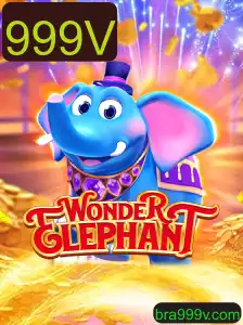 Explorando o Fascinante Mundo de WonderElephant